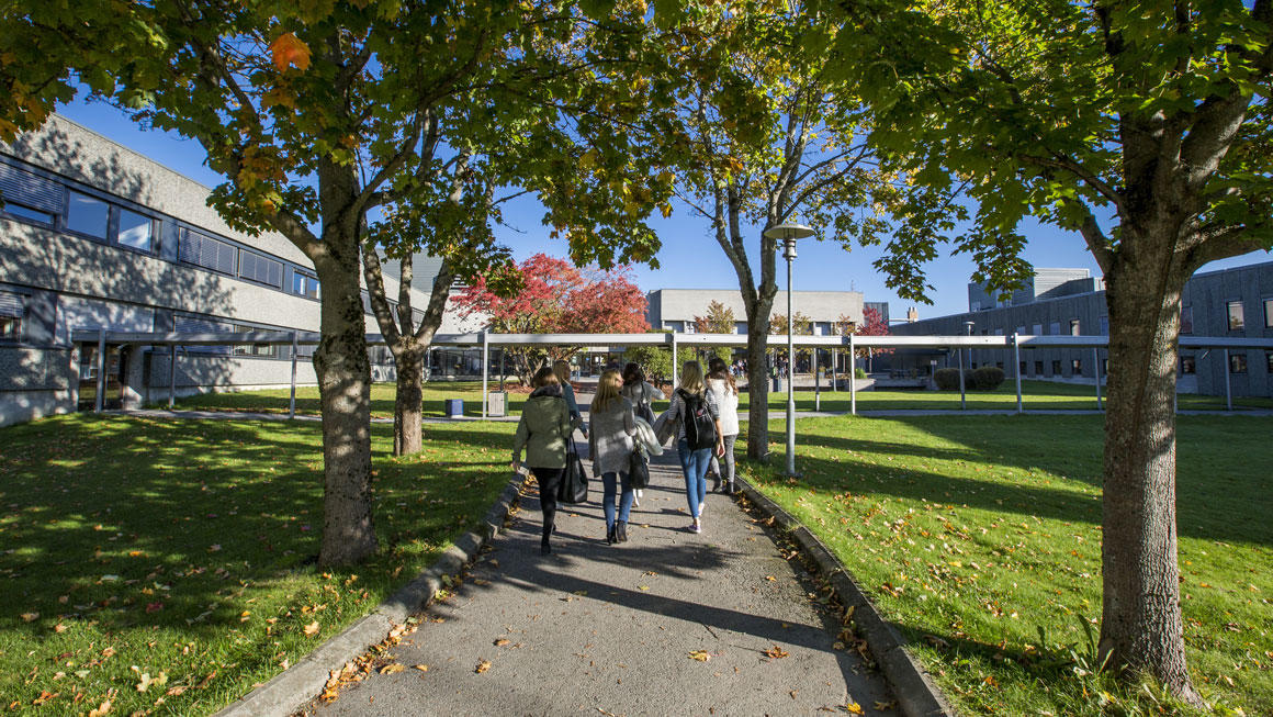 Students walking outside campus Porsgrunn