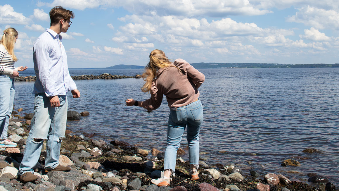 Tre studenter spretter steiner på sjøen